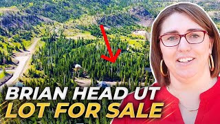 BUYING A LOT In Brian Head Utah: Choosing A Perfect Cabin Lot REVEALED! | Brian Head UT Lot For Sale